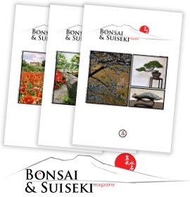 Bonsai & Suiseki magazine